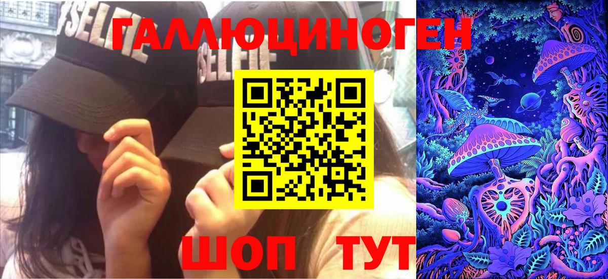 Галлюциногенные грибы Psilocybe  Вход с VPN  Пугачёв 